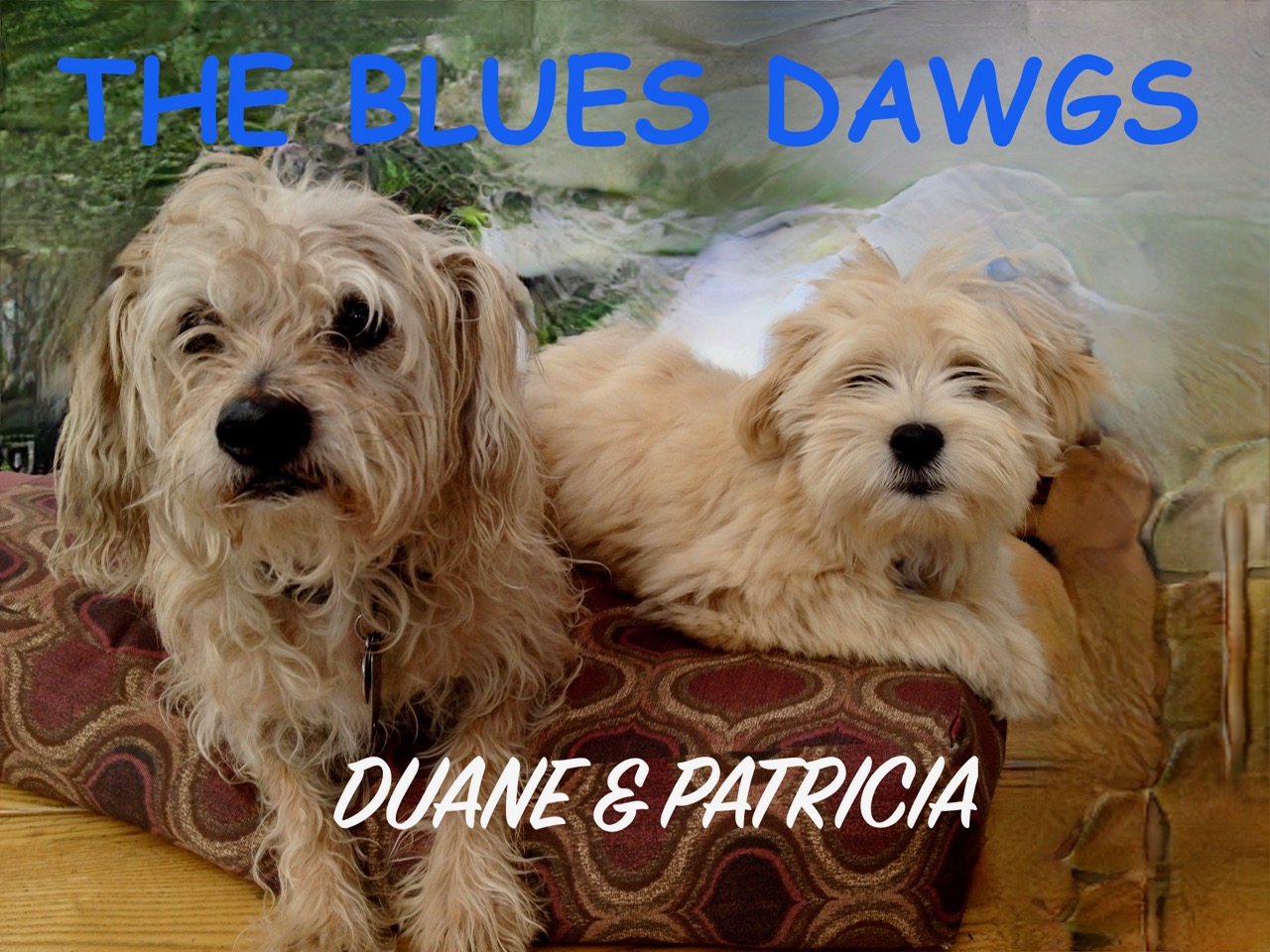 BluesDawgs